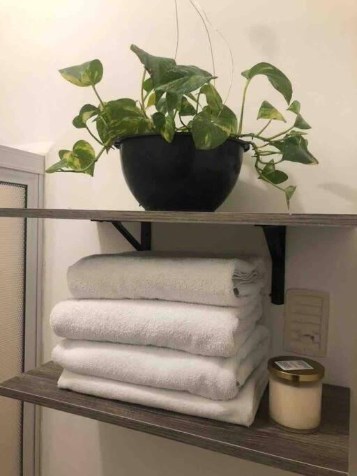 Comfortable And Private House 2 Bedrooms Wifi Parking Free Monterrey Kültér fotó